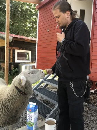 Ozzy füttert ein Schaf namens Roxanne