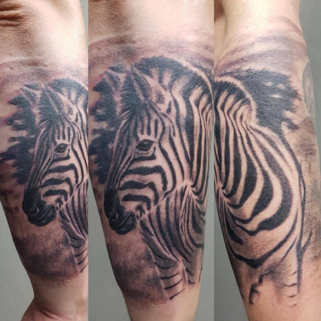 Detailreiche Zebra-Tätowierung auf dem Unterarm in schwarzem und grauem Design . Tattoo in Hamburg von Ozzy gestochen