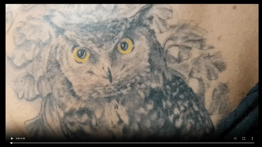 Video eines Eulen-Tattoos mit gelben Augen in Hamburg von Ozzy gestochen