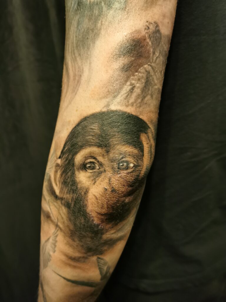 Ein realistisches Porträt eines nachdenklichen jungen Schimpansen als Tattoo auf dem Arm. Affen-Porträt-Tattoo von Ozzy in Hamburg gestochen.