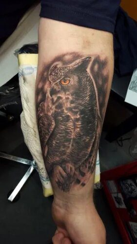 Detailreiches Tattoo eines Uhus auf dem Unterarm . Tattoo in Hamburg von Ozzy gestochen